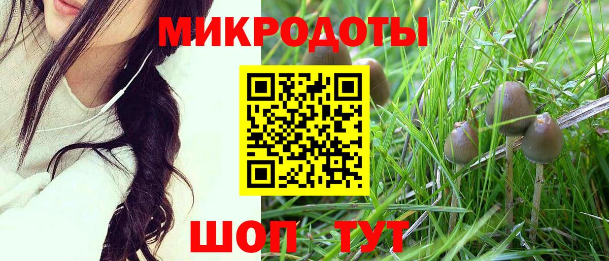 Галлюциногенные грибы Psilocybine cubensis  Вход с VPN  Уссурийск 