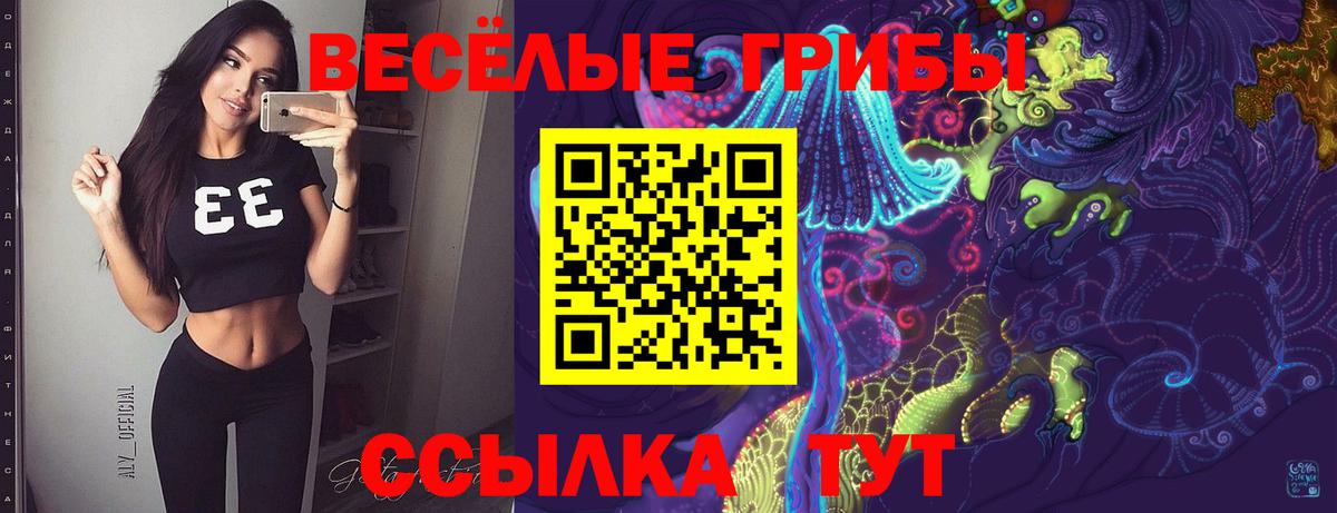 Галлюциногенные грибы Cubensis Уссурийск